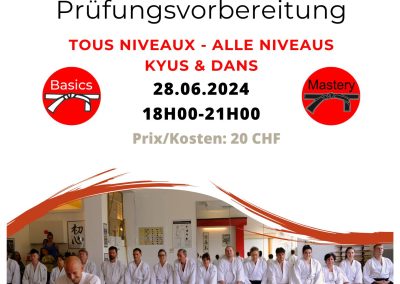Stage Préparation Examens Kyus/Dans, Bienne, 28.06.2024