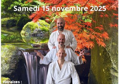 Stage d’Aïkido à Genève, 15 novembre